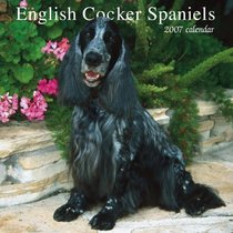 English Cocker Spaniels 2007 Calendar