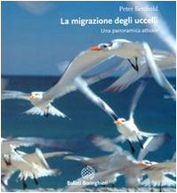 Le migrazioni degli uccelli