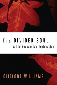 The Divided Soul: A Kierkegaardian Exploration