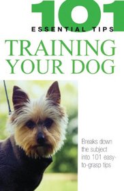 Training Your Dog (101 Essential Tips)