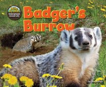 Badger's Burrow (The Hole Truth: Underground Animal Life)