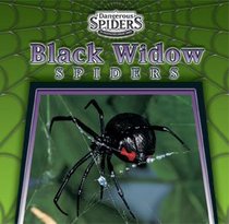 Black Widow Spiders (Dangerous Spiders)