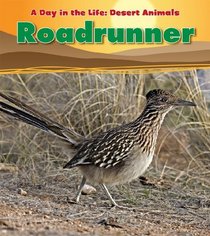 Roadrunner (Day in the Life: Desert Animals)