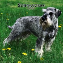 Schnauzers International 2007 Calendar