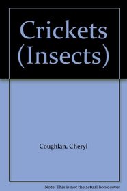 Crickets (Insects)