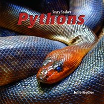 Pythons (Scary Snakes)