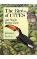 The Birds of Cites and How to Identify Them