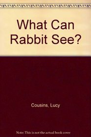What Can Rabbit See?