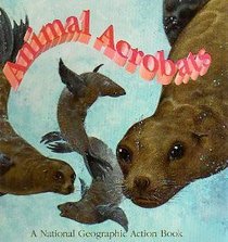 Pop-Up: Animal Acrobats
