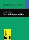 Der Schummelreiter (German Edition)