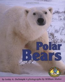 Polar Bears (Early Bird Nature Books)