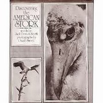 Discovering the American stork