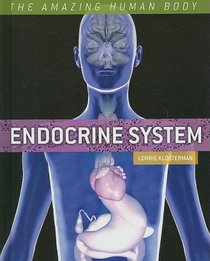 Endocrine System (The Amazing Human Body)