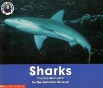 Sharks (Reading Discovery)
