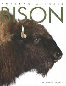 Bison (Amazing Animals)