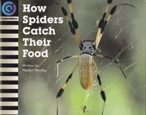 How Spiders Catch Their Food (AlphaWorld)