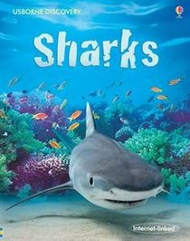 Usborne Discovery Sharks (Internet Linked)