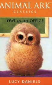 Owl in the Office