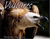 Vultures (Animal Scavengers)