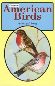 Common American Birds (Audubon Field Guide)