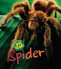 Spider (Bug Books)