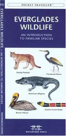 Everglades Wildlife: An Introduction to Familiar Species (Pocket Naturalist - Waterford Press)