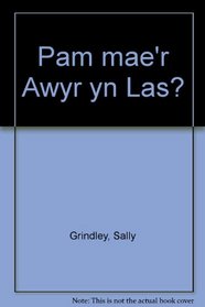 Pam mae'r Awyr yn Las? (Welsh Edition)