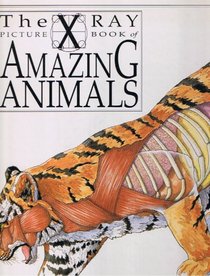 Amazing Animals (X-Ray Picture Book)