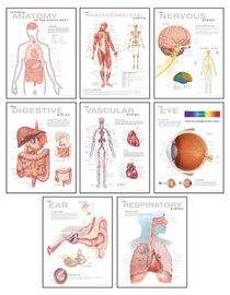 Human Anatomy Chart Pack