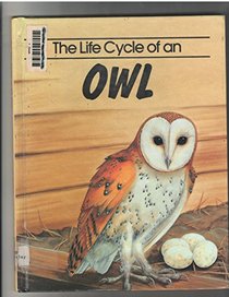 The Life Cycle of an Owl (Life Cycle Series)