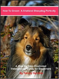 How to Groom a Shetland Sheepdog Perfectly: A Step by Step Illustrated Guide for Pet-quality Grooming