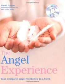 The Angel Experience: Your Complete Angel Workshop in a Book