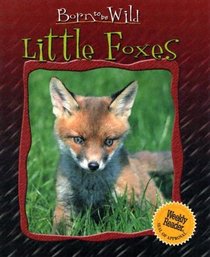 Little Foxes (Born to Be Wild)