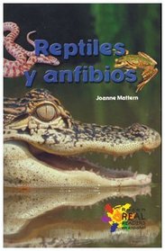 Reptiles y anfibios / Reptiles and Amphibians (Buenas Letras Readers) (Spanish Edition)