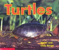 Turtles (Time-to-Discover)