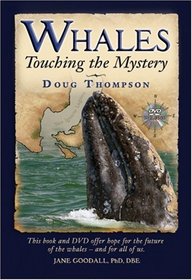 Whales: Touching the Mystery