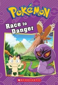 Race to Danger (Pokemon Chapter Book, No 13)