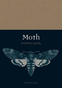 Moth (Animal)