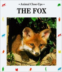 The Fox (Animal Close-Ups (Paperback))