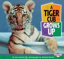 A Tiger Cub Grows Up (Turtleback School & Library Binding Edition)
