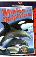 Whales and Dolphins (Ladybird Explorers Series)