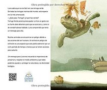 Un mensaje para Luna (Spanish Edition)