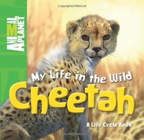 My Life in the Wild: Cheetah (Animal Planet: My Life in the Wild)