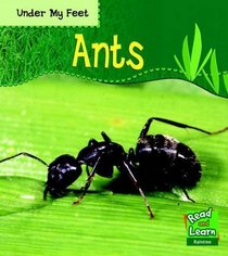 Ants (Read and Learn: Under My Feet)