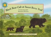 Black Bear Cub at Sweet Berry Trail (Smithsonian's Backyard Collection)