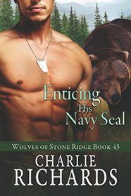 Enticing his Navy Seal (Wolves of Stone Ridge)
