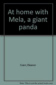 At home with Mela, a giant panda