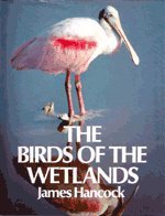 Birds of Wetlands James Hancock Ff