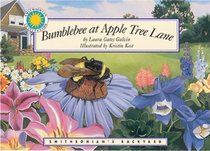 Bumblebee at Apple Tree Lane (Smithsonian Backyard)