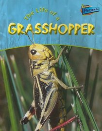 Life of a Grasshopper (Life Cycles)